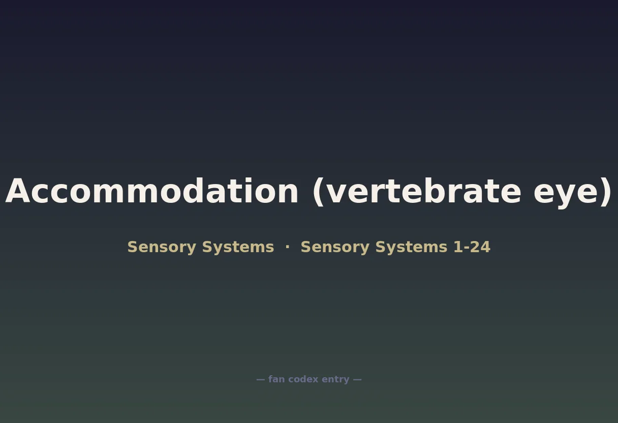 Accommodation (vertebrate eye)